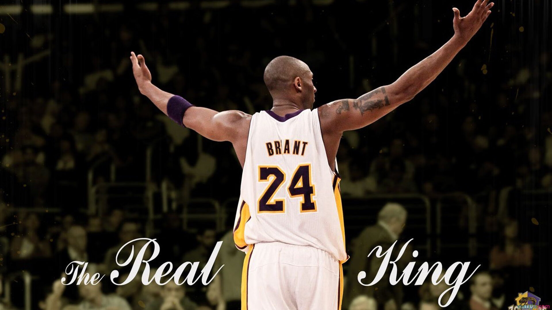 托桑·埃夫布奥姆万成为NBA品牌代言人，nba球星都代言了哪些球鞋